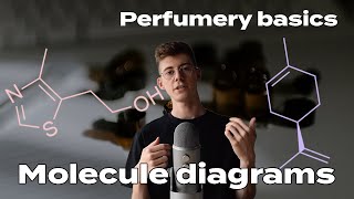 Understanding molecular diagrams in perfumery