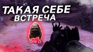 Свалка Встречает Не Очень Дружелюбно - STALKER A.R.E.A. - #6