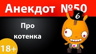 Анекдот №50: Про котенка)))