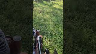 POV ferris CUTTING grass #cuttinggrass #mowing #fypシ #ytshorts