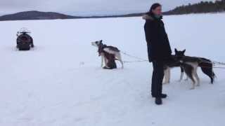 the. best way to cross a lake. ever.