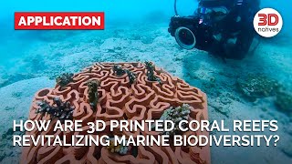 The 5 3D Printed Corals That Are Saving Marine Ecosystems | Applications | 3Dnatives