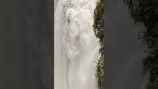 massive waterfall 😯😯🏞️#shorts #nature #waterfall