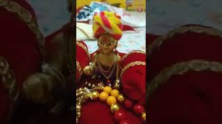 Laddu gopal ji ka video #ytshorts #youtubeshorts #laddugopalji #laddugopalshorts #laddugopalstatus