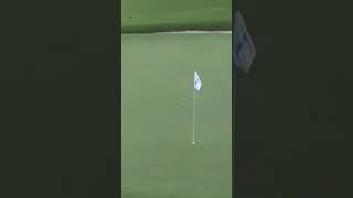 perfect golf shot from 100 yards.golf playing, gilf swing, golf shorts, golf now, pga golf