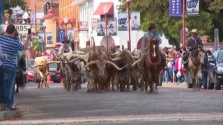 Hamilton Unexplored NTX: Fort Worth Stockyards