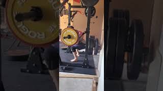 Safety bar squat 366lb