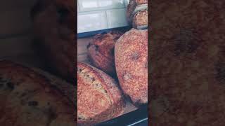 bread bread bread #bread #baker #bakerybread #baker #shortvideo #shorts #short