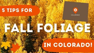 5 Tips for Fall Foliage in Colorado (From a Local!)