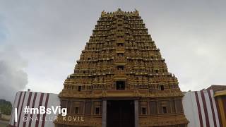 Jaffna Morning Sunrise walk to Nallur Kovil by mBsVig | Sri Lanka 2019 | morning Yoga workout