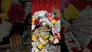 Daily Wonderful Radha Madhava Darshan #isckon #wonderful #radhakrishna #darshan #Radha_Madhav #isk