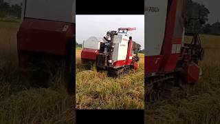 rich cutter machine rice harvesting.#ricecuttingmachine #viralshort #viralvideo #trendingshorts