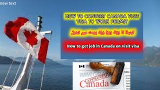 Asylum in Canada I How to Convert Visitor Visa to Work Visa in Canada | Free LMIA