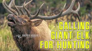 mp3 sound calling giant elk for hunting