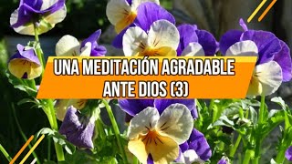 Una meditación agradable ante Dios (3)| 18 De Julio| La Buena Semilla 2024 | Meditaciones Cotidianas