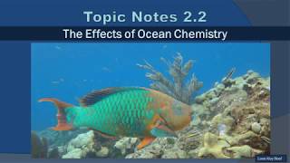 Topic Notes #2.2: The Effects of Ocean Chemistry - 2019