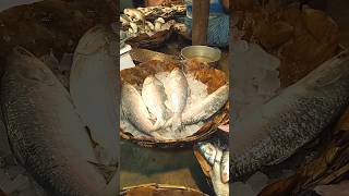 Unbelievable,Big Hilsa Fish Market in India 🐠 🔥🙏,#shorts ,#short ,#Viral ,#fish,#fishing