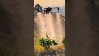 DJI T50 #nuvoleinitalia 🔥💯🔥💯🔥💯🔥Spraying medicine for farming from drones#djidrone #technology#drone