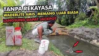 Langsung Jackpot - Microfishing Mancing Wader Dan Uceng Di Parit Kecil Dengan Umpan Wader Lite Amis