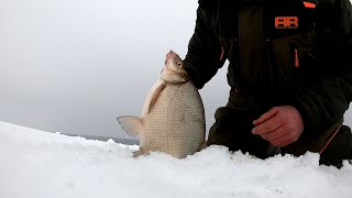 Раздача трофейных ЛЕЩЕЙ на Новый Год.Рыбалка на Сурском водохранилище 1 января 2022 года.