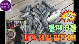 부흥호바다좌대낚시~처음 방문이면 꼭 클릭! 포인트 정보가 한눈에~(Fishing )