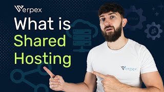 What is Shared Hosting? How Does It Work?