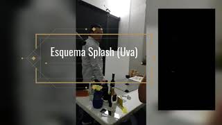 EAJ + Iluminación - Esquema Splash (Uva)