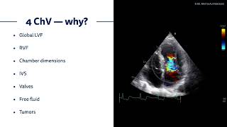 〖Echocardiography〗 Why the four-chamber view?