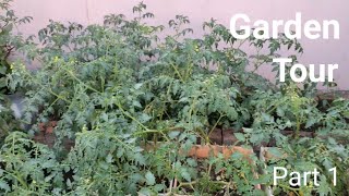 GARDEN TOUR | Different types of vegetables@lalitaskitchengarden