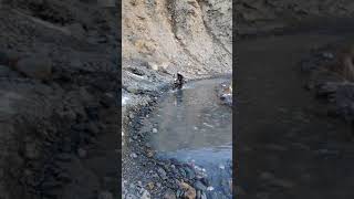 Water Crossing in Lahaul, Himachal Pradesh on a Royal Enfield Himalayan and in a Tiago JTP