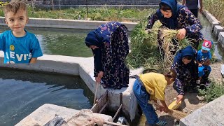 Celine's nomadic life: working and cleaning the fish ponds by the lady parvaneh.