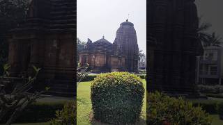 एक ऐसा मंदिर जिस मे कोई मूर्ती नही/ Raja Rani temple, Bhubaneswar/ वास्तुकला और सुंदरता  #shorts