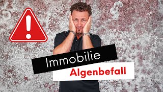 Immobilie: Algenbefall