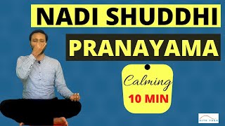 10 MIN NADI SHUDDHI PRANAYAMA | ALTERNATE NOSTRIL BREATHING |DAILY PRACTICE | CALMING PRANAYAMA