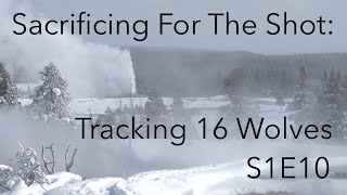 Sacrificing for the Shot: Tracking 16 Wolves | Behind The Lens | S1E10 | Inspire Wild Media