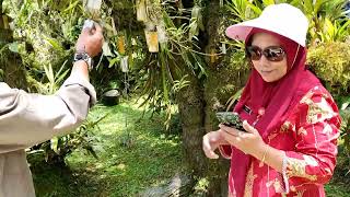 KEBUN RAYA EKA KARYA BEDUGUL BALI