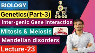 Biology| Lecture-23 Genetics(part-3)|Gene interaction |Mitosis & Meiosis |Mendelian disorders