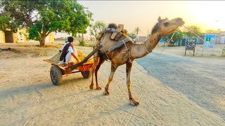 Traveling to Islamabad On The Motorway in an Old Bus |Motorway|Old Bus|traveling vlog