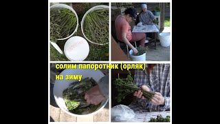 солим папоротник (Орляк) на зиму