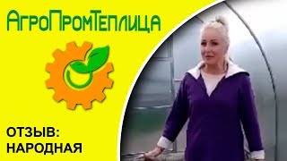 Отзыв о теплице "Народная" брянского завода-изготовителя "АгроПромТеплица"