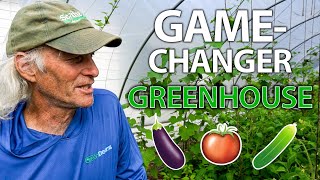 Jim Kovaleski's New FL Greenhouse- Tomato + Cukes Galore!! 🍅🥒🍅🥒🍅🥒