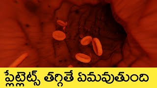 What Happens If platelets Counts Decreases in Telugu | Some suggestions to increase your platelets.