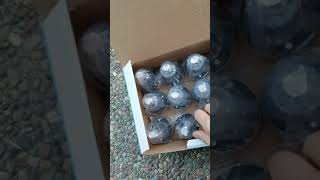 Open box review video for Foxdott Solar Lights Outdoor, 12Pack solar pathway lights outdoor LED