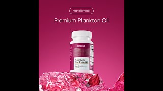 Premium Plankton Oil termékbemutató előadás