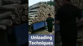 unloading techniques of wooden load #amazing #cutting #trending #sawmill #short #ytshorts #crazy