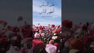 خير آلناس أنفعهم آلناس - الشيخ محمد المختار الشنقيطي