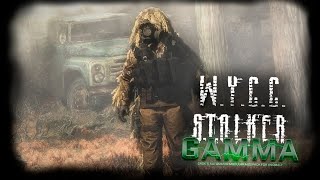 S.T.A.L.K.E.R. Anomaly GAMMA #2 (Стрим от 25.11.2023)