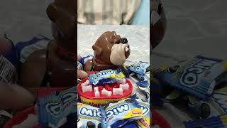 Grumpy dog: that's my cookie don't steal it 😅 #shorts #asmr #best #trendy #grumpydog