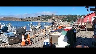 Summer dock fishing!