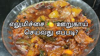 ருசியான எலுமிச்சை ஊறுகாய் செய்யலாம் வாங்க! | எலுமிச்சை 🍋 ஊறுகாய்  செய்வது எப்படி?